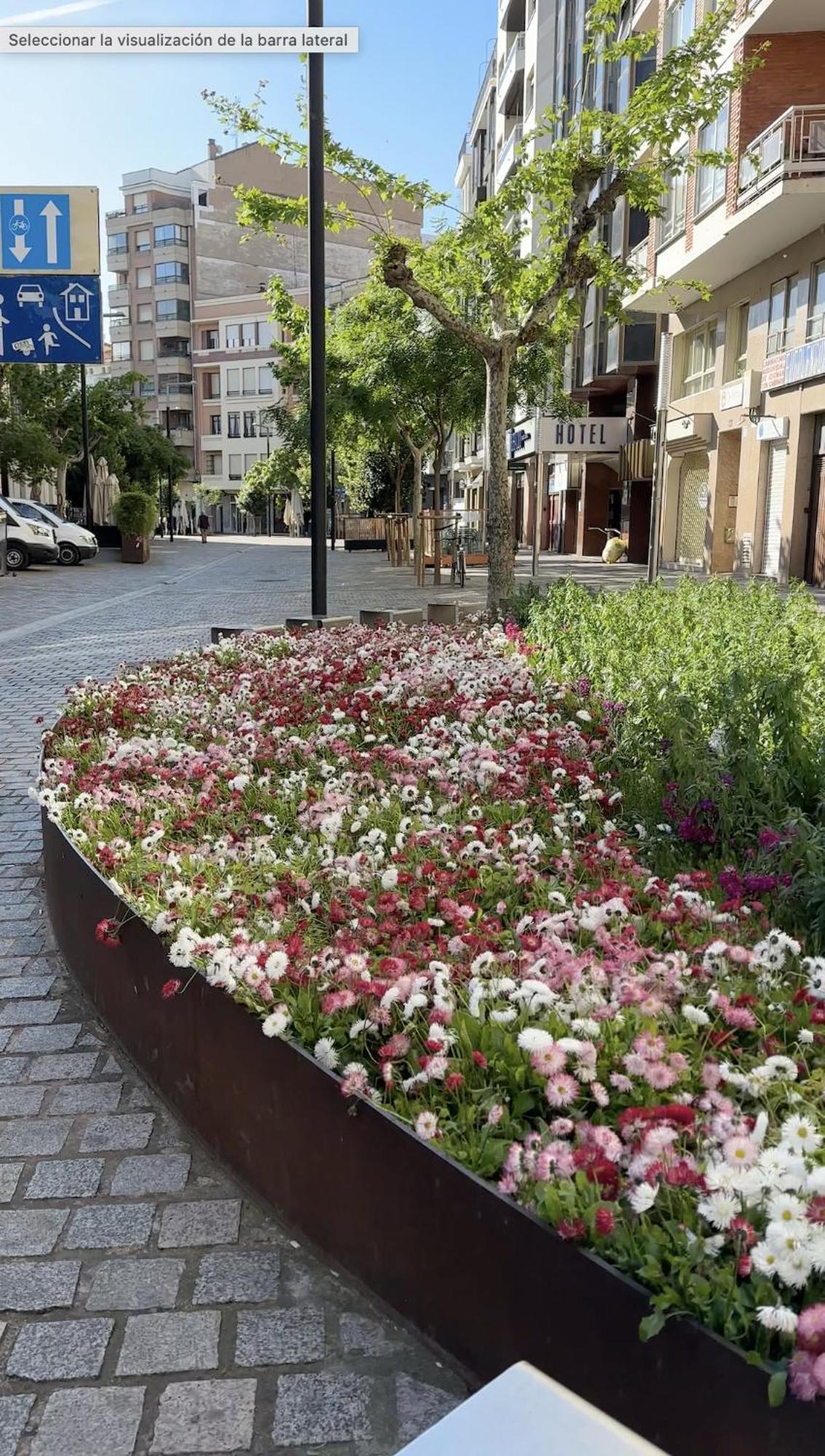Esencia Del Casco Antiguo Apartment Logrono Ngoại thất bức ảnh